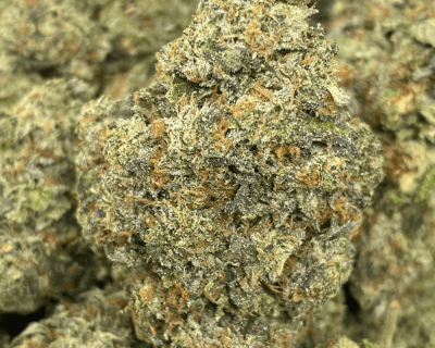 MASTER BUBBA (GAS) - Image 1