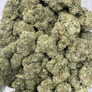 MASTER BUBBA (GAS) - Image 3