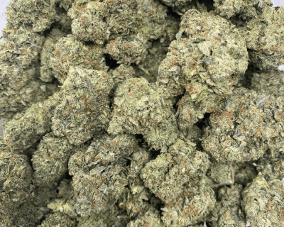 MASTER BUBBA (GAS) - Image 3