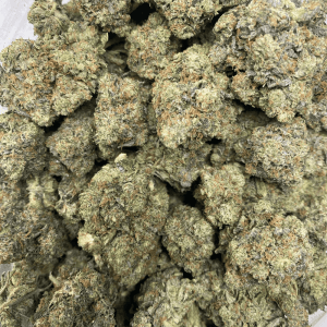 MASTER TUNA (GAS DEAL) - Image 3