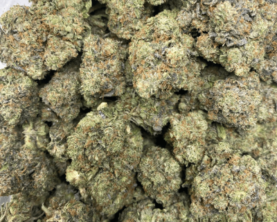 MASTER TUNA (GAS) - Image 3