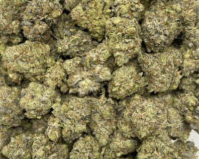 MK ULTRA (GAS) - Image 3
