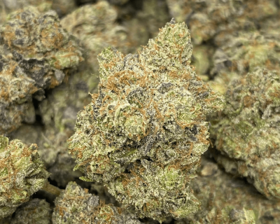 MK Ultra