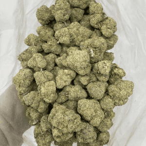 NEON LIGHTS (EXOTIC) - Image 2