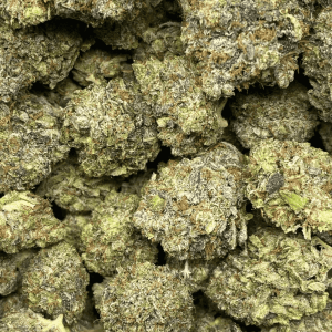 OIL & KEROSENE (MEGA GAS) - Image 2