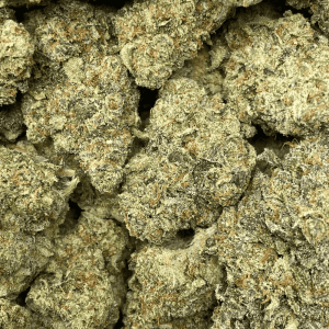 ORANGE JULIUS (EXOTIC) - Image 2