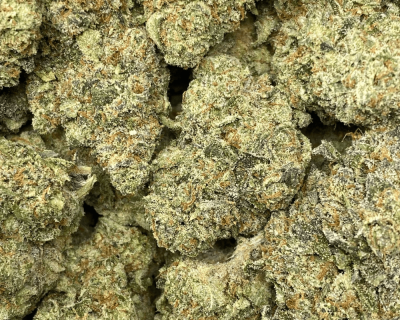 ORANGE JULIUS (EXOTIC) - Image 2