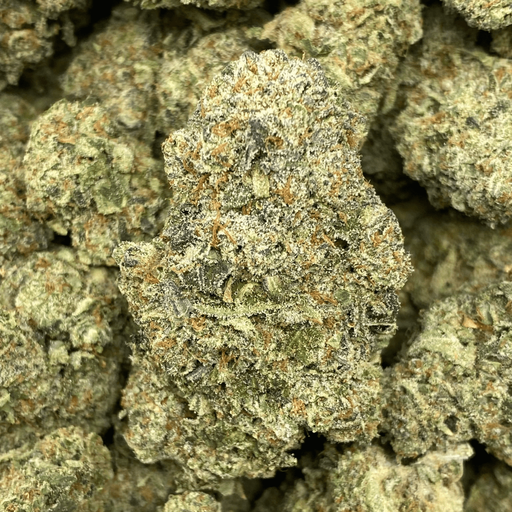 Orange Julius