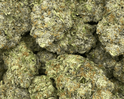 PINK CAVIAR (MEGA GAS) - Image 2