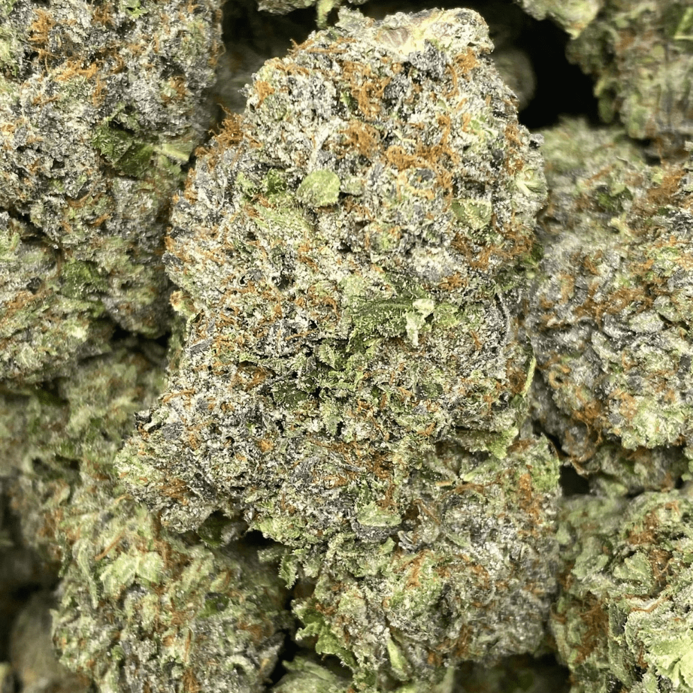 PINK CAVIAR