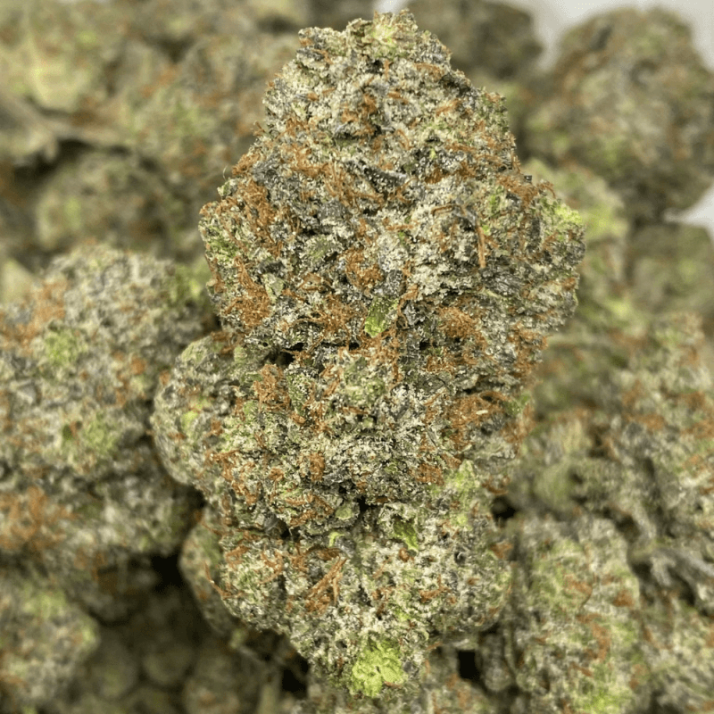 PINK NUKE (2) PINK NUKE