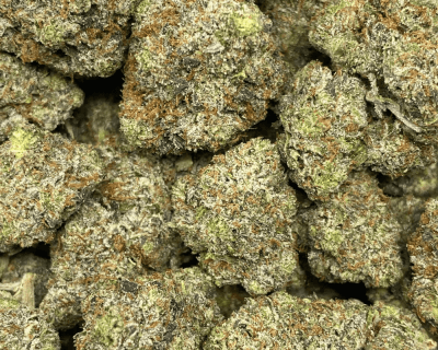 PINK NUKE (MEGA GAS) - Image 2