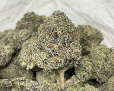 GREASY DEATH REAPER (EXTREME GAS SALE) - Image 3