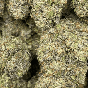 PINK BLUE FIN (MEGA GAS) - Image 2