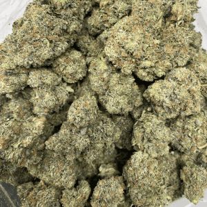 PINK GIVENCHY (MEGA GAS) - Image 3