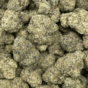 PREMIUM DONKEY BUTTER (EXOTIC) - Image 2