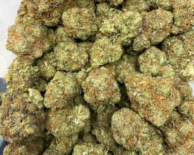 ROCKSTAR NORTHFACE (GAS) - Image 3