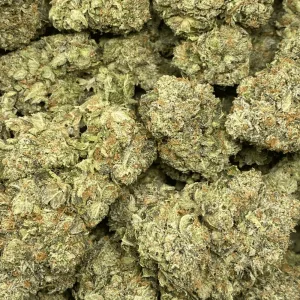 ROCK & ROLL (MEGA GAS DEAL) - Image 2