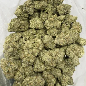 ROCK & ROLL (MEGA GAS DEAL) - Image 3