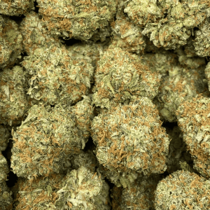 ROCKSTAR NORTHFACE (GAS) - Image 2