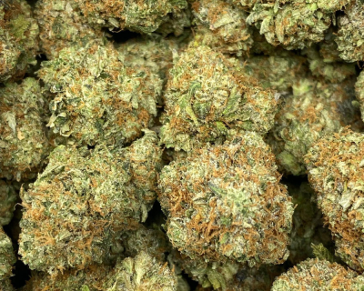 ROCKSTAR NORTHFACE (GAS) - Image 2
