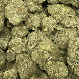 SUGAR BLACK ROSE (EXOTIC) - Image 2