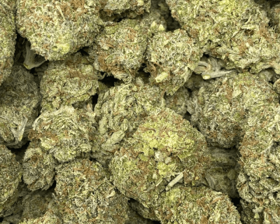 SUGAR BLACK ROSE (EXOTIC) - Image 2