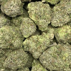 SPARTAN PINK (MEGA GAS) - Image 2