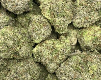 SPARTAN PINK (MEGA GAS) - Image 2