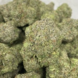 SPARTAN PINK (MEGA GAS) - Image 1