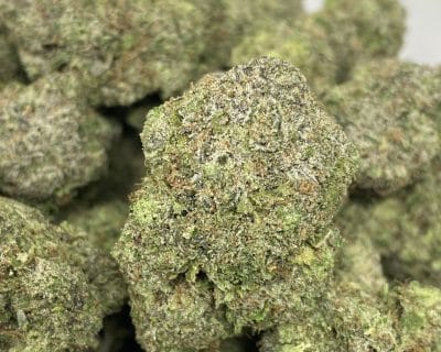 SPARTAN PINK (MEGA GAS) - Image 1