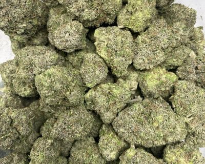 SPARTAN PINK (MEGA GAS) - Image 3