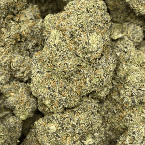 SUNSET RUNTZ (EXOTIC) - Image 1