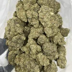 SUNSET RUNTZ (EXOTIC) - Image 3