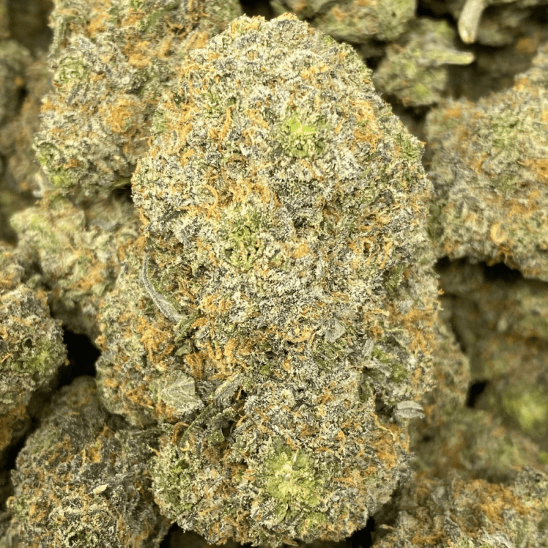 Tropical Sour Haze (2)