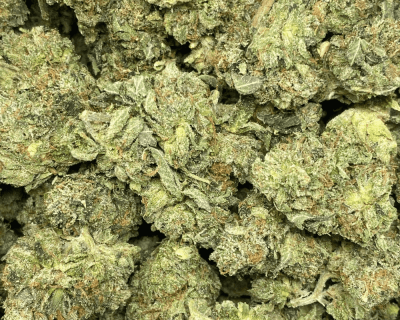 WARLOCK OG smalls (GAS) - Image 2
