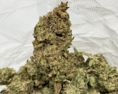 GORILLA BREATH $399.99/LB - Image 3