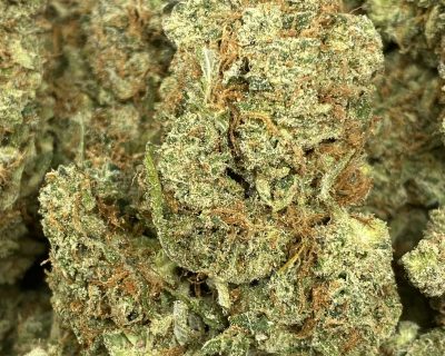 GHOST TRAIN HAZE (EXOTIC) - Image 1