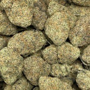 GALAXY RUNTZ (EXOTIC) - Image 2