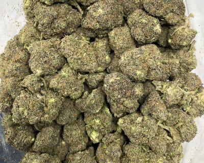 BLACK RUNTZ (EXOTIC) - Image 4