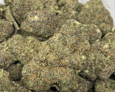 BLACK RUNTZ (EXOTIC) - Image 1