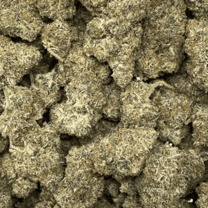 BEACH WEDDING LSO (EXOTIC DEAL) - Image 2