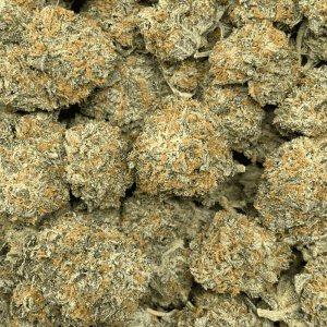 BLACKBERRY CREAM (EXOTIC) - Image 2