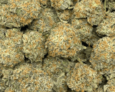 BLACKBERRY CREAM (EXOTIC) - Image 2