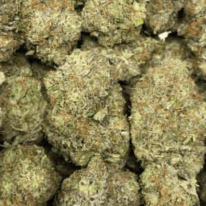 BLUESKY TUNA (MEGA GAS) - Image 3