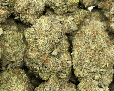 BLUESKY TUNA (MEGA GAS) - Image 3