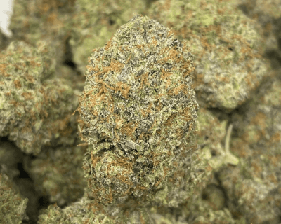 BLUESKY TUNA (MEGA GAS) - Image 1