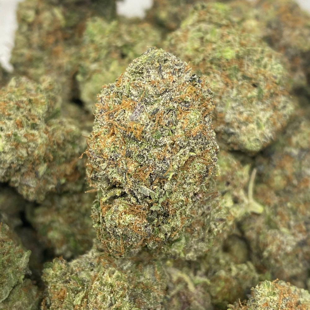 BLUESKY TUNA (MEGA GAS)