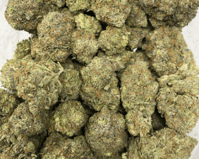 BLUESKY TUNA (MEGA GAS) - Image 2