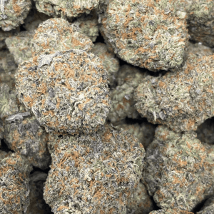 BURNT ORANGE (EXOTIC DEAL) - Image 2